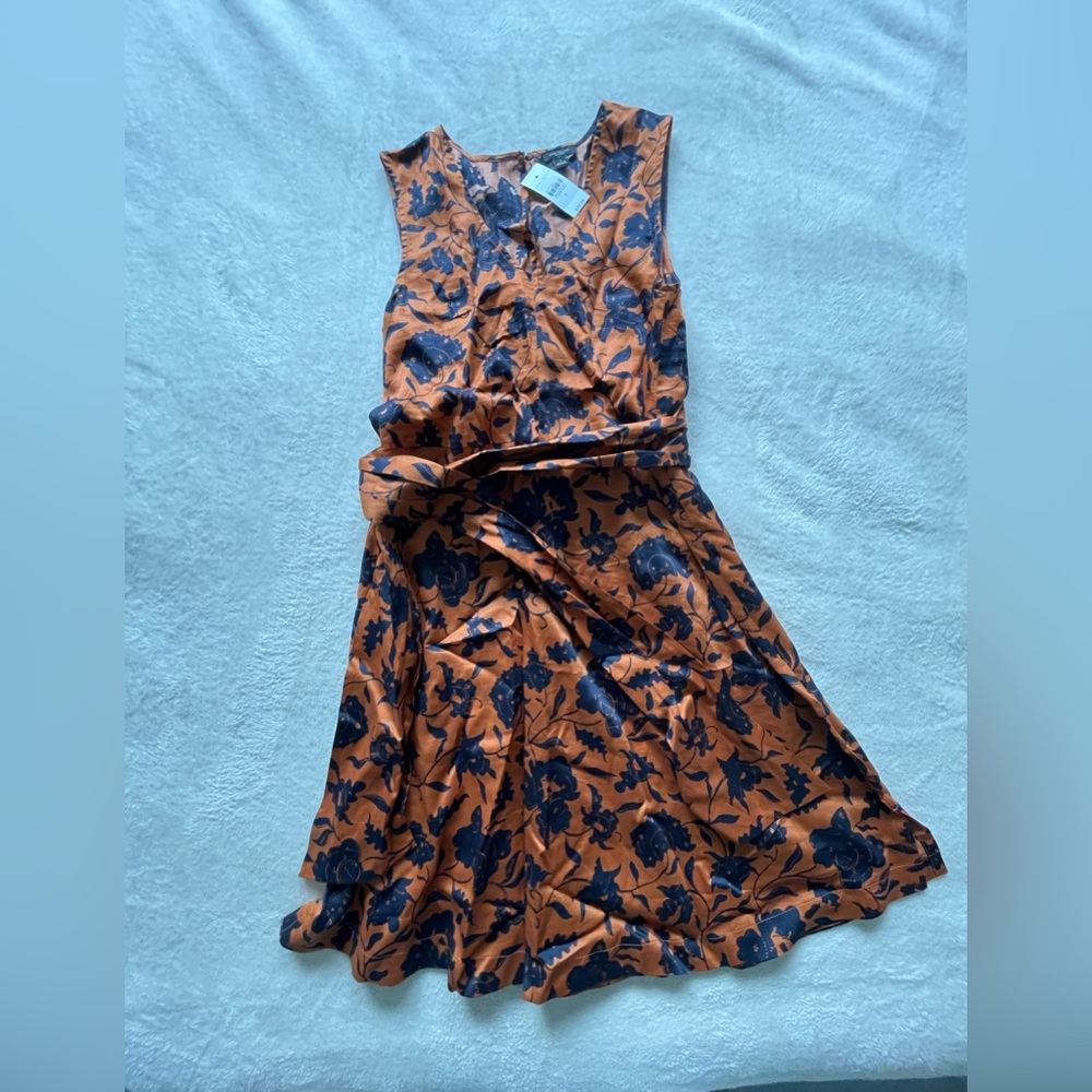 Anne Taylor NWT Limited Edition Print Cotton Dress